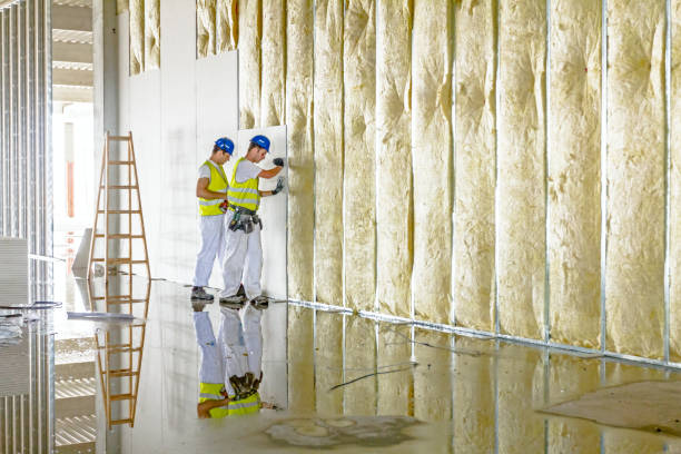 Best Eco-Friendly or Green Insulation Solutions  in USA